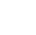 Experienced Attorneys Icon