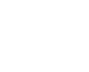 Personalized Solution Icon
